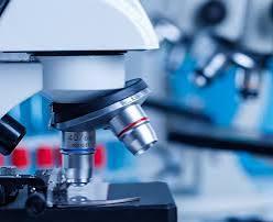 Micro Labs